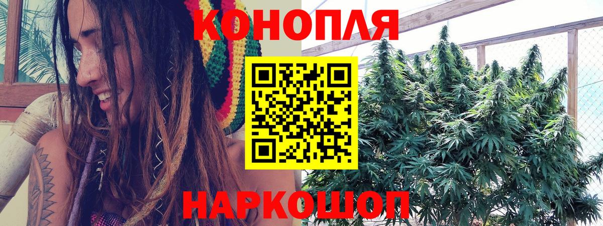 Каннабис OG Kush  Марихуана сатива  Вход с VPN  Щёлково 